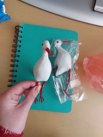 imusau.lt | parduodama gandriai